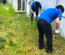 草刈り